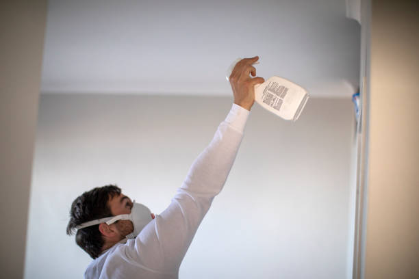 Best Professional Mold Removal  in Logan, IA