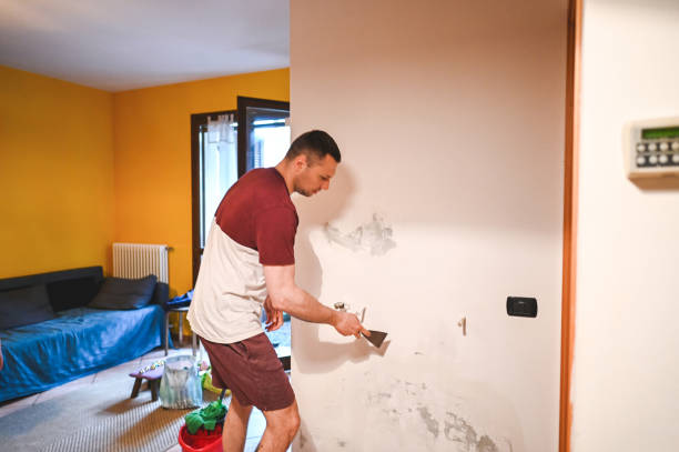 Best Certified Mold Removal  in Logan, IA